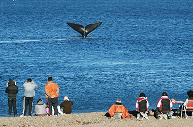 Playa El Doradillo Convencional